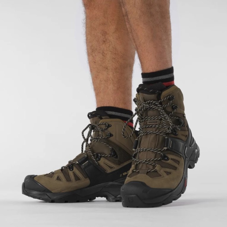 Salomon Quest 4 GTX Men's Hiking Boots Olive | CA 60M28